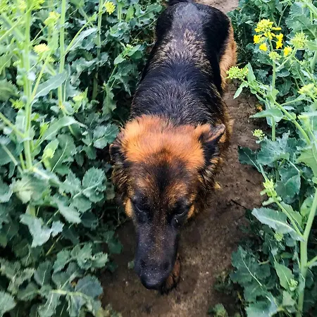 Dwór Barocco Gospodarstwo agroturystyczne