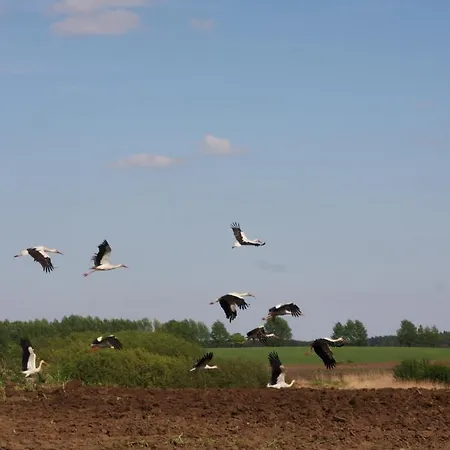 Gospodarstwo agroturystyczne Dwór Barocco *