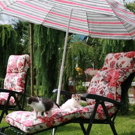 Dwór Barocco Gospodarstwo agroturystyczne Reszel