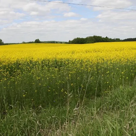 Dwór Barocco Gospodarstwo agroturystyczne *