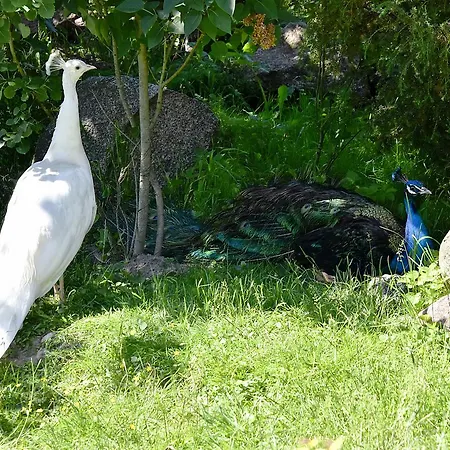 مزرعة للإقامة Dwor Barocco *