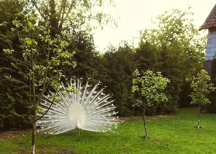 Dwór Barocco Gospodarstwo agroturystyczne