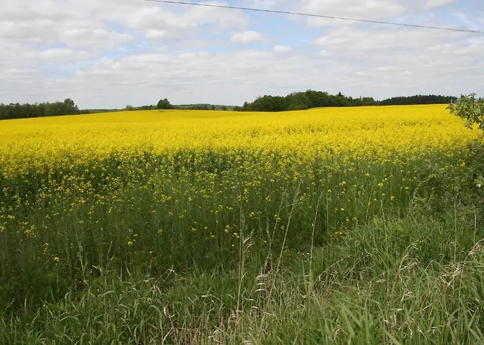 Dwór Barocco Gospodarstwo agroturystyczne *