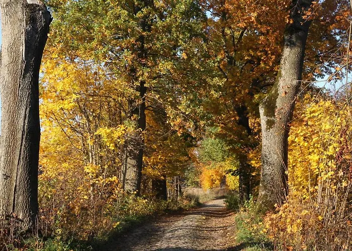 Dwór Barocco Gospodarstwo agroturystyczne