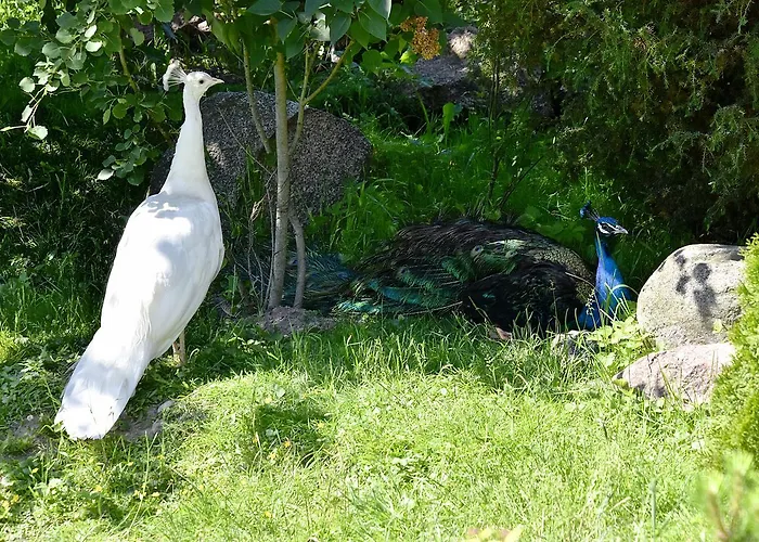 Gospodarstwo agroturystyczne Dwór Barocco *